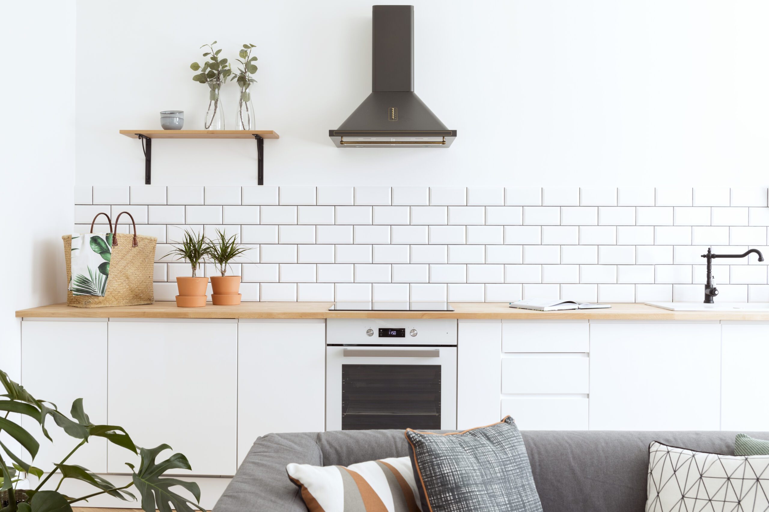 Damp Resolutions Mould Removal