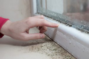 Window condensation and mould risk reduced through improved home ventilation