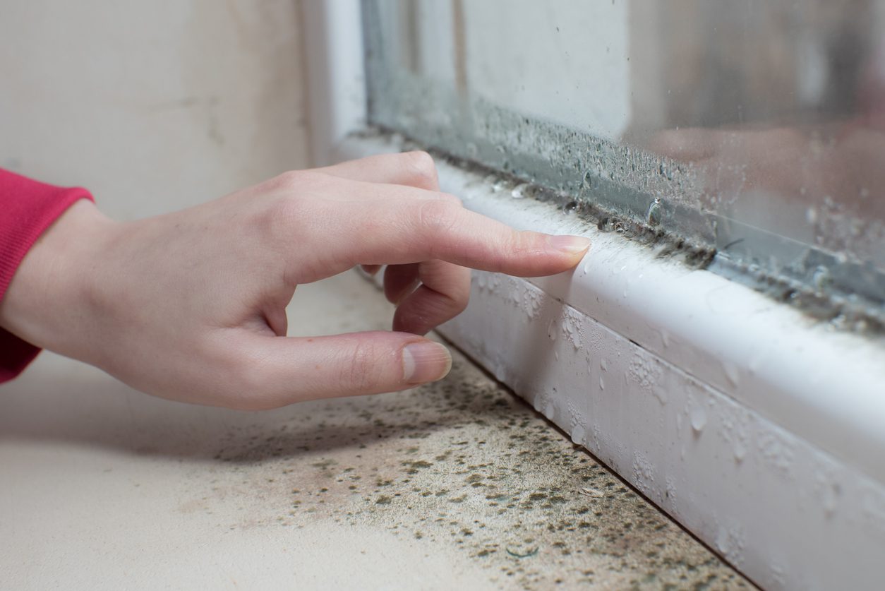 Window condensation and mould risk reduced through improved home ventilation